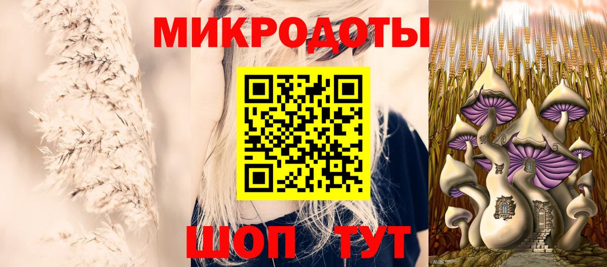 Галлюциногенные грибы Psilocybine cubensis Миасс